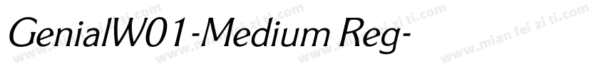 GenialW01-Medium Reg字体转换